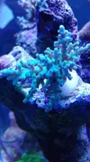 [TodoMarino.com] Pescazeef