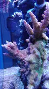 [TodoMarino.com] Pescazeef