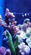 [TodoMarino.com] Pescazeef