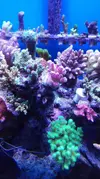 [TodoMarino.com] Pescazeef