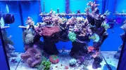 [TodoMarino.com] Pescazeef