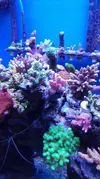 [TodoMarino.com] Pescazeef