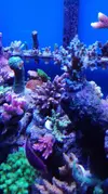 [TodoMarino.com] Pescazeef