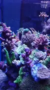 [TodoMarino.com] Pescazeef