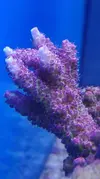 [TodoMarino.com] Pescazeef