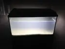 [TodoMarino.com] Presento mi primer Acuario y pido consejo