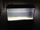 [TodoMarino.com] Presento mi primer Acuario y pido consejo