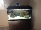 [TodoMarino.com] Presento mi primer Acuario y pido consejo