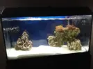 [TodoMarino.com] Presento mi primer Acuario y pido consejo