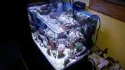 [TodoMarino.com] Nano reef 60 litros Ioan.