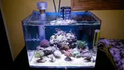 [TodoMarino.com] Nano reef 60 litros Ioan.
