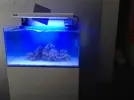 [TodoMarino.com] proyecto reef 100 l