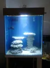 [TodoMarino.com] Mi proyecto cubo 60x70x80 alto