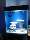 [TodoMarino.com] Mi proyecto cubo 60x70x80 alto