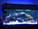 [TodoMarino.com] Recomendaciones para la compra o montaje de una pantalla de LEDs nueva
