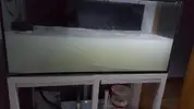 [TodoMarino.com] RuppReef desde Murcia