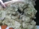 [TodoMarino.com] Identificación
