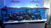 [TodoMarino.com] Club-taller ATI Powermodule Híbrid (EN ESPAÑOL)