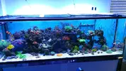 [TodoMarino.com] Club-taller ATI Powermodule Híbrid (EN ESPAÑOL)