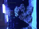 [TodoMarino.com] Principiante en marino!!!