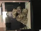 [TodoMarino.com] Principiante en marino!!!
