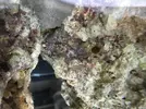 [TodoMarino.com] Principiante en marino!!!