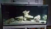 [TodoMarino.com] RuppReef desde Murcia