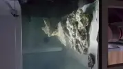 [TodoMarino.com] RuppReef desde Murcia