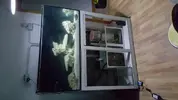 [TodoMarino.com] RuppReef desde Murcia