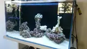 [TodoMarino.com] Mi primer marino 100l
