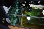 [TodoMarino.com] Presentación y Acuario