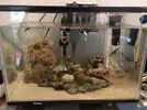 [TodoMarino.com] Nano reef 25litros.