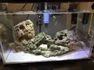 [TodoMarino.com] Nano reef 25litros.