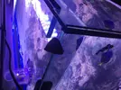 [TodoMarino.com] Ampliación paso a paso K-REEF, de 100 a 260 litros
