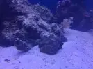 [TodoMarino.com] Ampliación paso a paso K-REEF, de 100 a 260 litros