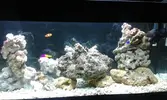 [TodoMarino.com] 120l Primer marino