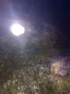 [TodoMarino.com] Ampliación paso a paso K-REEF, de 100 a 260 litros