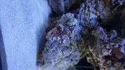[TodoMarino.com] Principiante en marino!!!