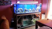 [TodoMarino.com] Fotos de Sump