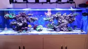 [TodoMarino.com] Ampliación de 500 a 1000l+sump paso a paso