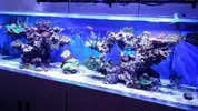 [TodoMarino.com] Ampliación de 500 a 1000l+sump paso a paso