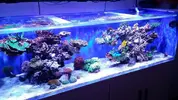 [TodoMarino.com] Ampliación de 500 a 1000l+sump paso a paso