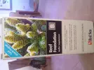 [TodoMarino.com] aquascaping 360 litros desde cero