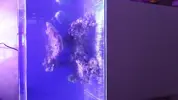 [TodoMarino.com] proyecto 130L
