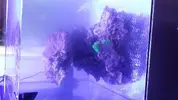 [TodoMarino.com] proyecto 130L