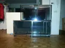 [TodoMarino.com] davidreef 330L+sump