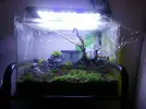 [TodoMarino.com] Acuario de 250l + 80 sump
