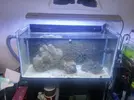 [TodoMarino.com] Acuario de 250l + 80 sump