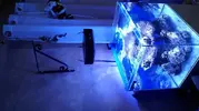 [TodoMarino.com] proyecto 130L