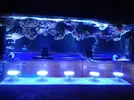 [TodoMarino.com] Consejos   para  pantalla  led casera